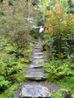 Ireland Sept 2011 221