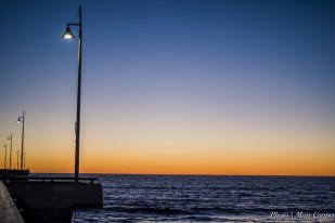 22356007364_08cbece334_z (1)