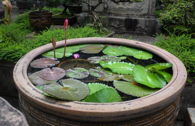 14371974374_3e35147fc4_k