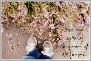 6475925577_5a8cdd88c3_z